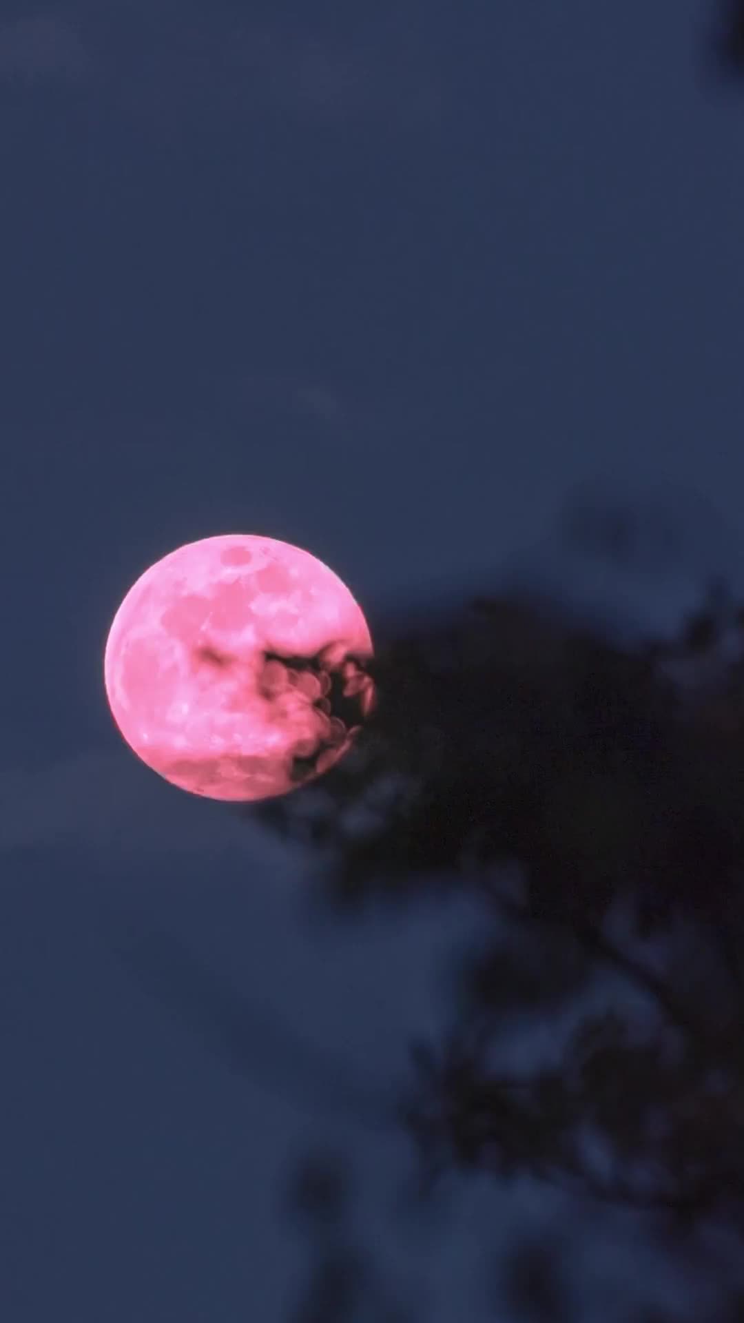 Épisode 73 - Mon Alpha, je te soignerai chaque nuit